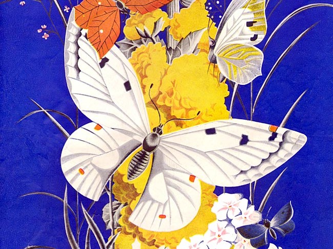 White butterfly on yellow flowers