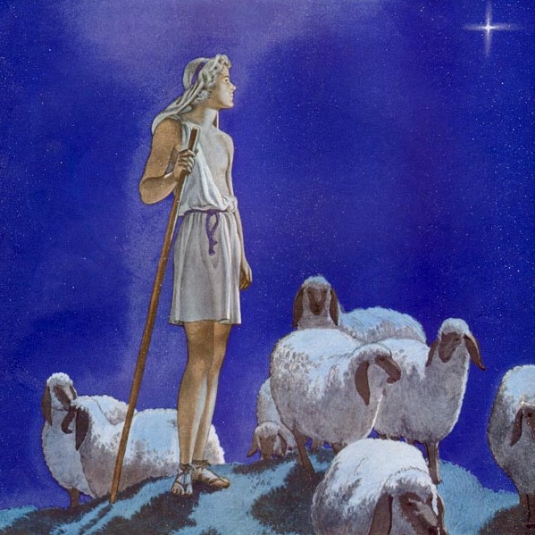 Young Shepherd boy watches his flocks by night